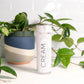 Factor Five - Anti-Aging Cream - 30g
